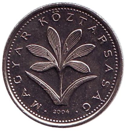 2004-1ho.jpg 2004-1ho.jpg