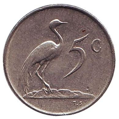 Монета 5 центов. 1982 год, Южная Африка. Окончание президентства Бальтазара Йоханнеса Форстера. Африканская красавка. Монета 5 центов. 1982 год, Южная Африка. Окончание президентства Бальтазара Йоханнеса Форстера. Африканская красавка.