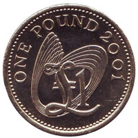 Монета 1 фунт. 2001 год, Гернси.