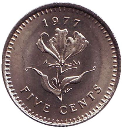 Монета 5 центов. 1977 год, Родезия. Глориоза (Пламенная лилия).
