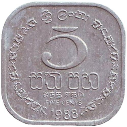 Монета 5 центов. 1988 год, Шри-Ланка.