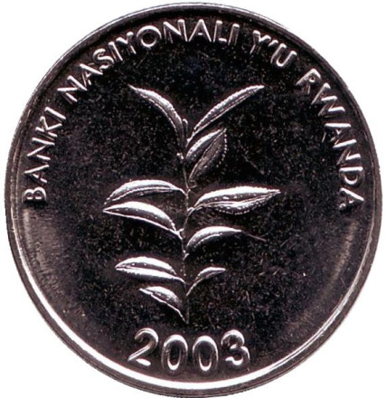 2003-105.jpg