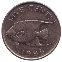 Тропическая рыба (Ангел-королева). Монета 5 центов. 1995 год, Бермудские острова.