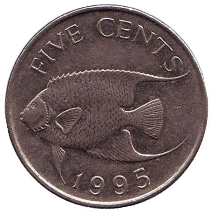 Монета 5 центов. 1995 год, Бермудские острова. Тропическая рыба (Ангел-королева).