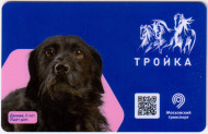 Электронная карта "Тройка". 2020 год. Россия, Москва. Серия "Ищет дом". Дачник. Электронная карта "Тройка". 2020 год. Россия, Москва. Серия "Ищет дом". Дачник.