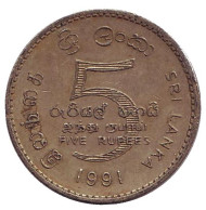 Монета 5 рупий. 1991 год, Шри-Ланка.