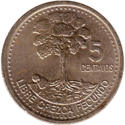 Монета 5 сентаво, 1998 год, Гватемала. Хлопковое дерево.