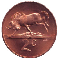 Монета 2 цента. 1966 год, Южная Африка. (South Africa) UNC. Белохвостый гну. Монета 2 цента. 1966 год, Южная Африка. (South Africa) UNC. Белохвостый гну.
