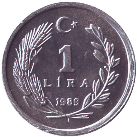 Монета 1 лира. 1989 год, Турция. Редкая!