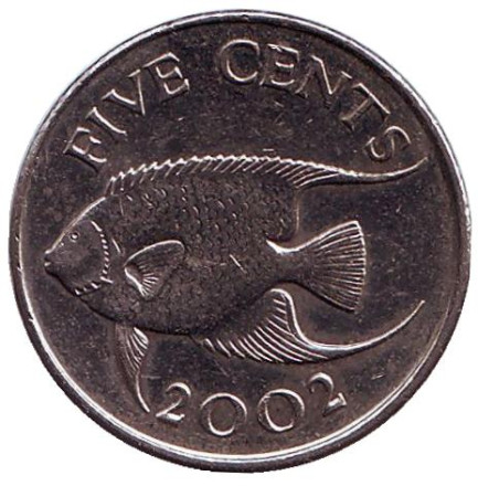 Монета 5 центов. 2002 год, Бермудские острова. Тропическая рыба (Ангел-королева).