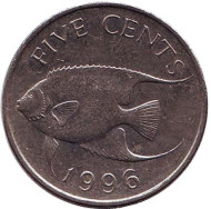 Монета 5 центов. 1996 год, Бермудские острова. Тропическая рыба (Ангел-королева). Монета 5 центов. 1996 год, Бермудские острова. Тропическая рыба (Ангел-королева).