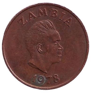 Монета 1 нгве. 1978 год, Замбия. Трубкозуб. (Аардварк). Монета 1 нгве. 1978 год, Замбия. Трубкозуб. (Аардварк).