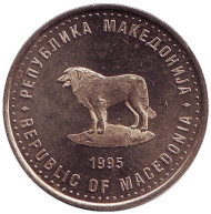 Монета 1 денар, 1995 год, Македония. (Тип 1). Пастушья собака. Монета 1 денар, 1995 год, Македония. (Тип 1). Пастушья собака.