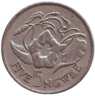 Монета 5 нгве. 1968 год, Замбия. Цветок "Дневная красавица". Монета 5 нгве. 1968 год, Замбия. Цветок "Дневная красавица".