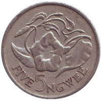 Цветок "Дневная красавица". Монета 5 нгве. 1968 год, Замбия.