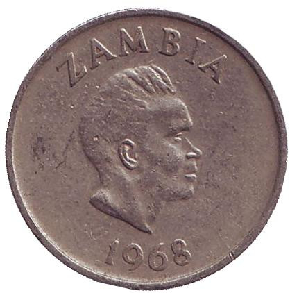 Монета 5 нгве. 1968 год, Замбия. Цветок "Дневная красавица".