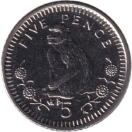 Монета 5 пенсов. 2003 год, Гибралтар. Варварийская обезьяна. (AD). Магнитная. Монета 5 пенсов. 2003 год, Гибралтар. Варварийская обезьяна. (AD). Магнитная.