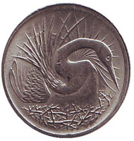 Монета 5 центов. 1981 год, Сингапур. (Немагнитная) Большая белая цапля. Монета 5 центов. 1981 год, Сингапур. (Немагнитная) Большая белая цапля.