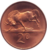 Монета 2 цента. 1967 год, Южная Африка. (South Africa). UNC Белохвостый гну. Монета 2 цента. 1967 год, Южная Африка. (South Africa). UNC Белохвостый гну.