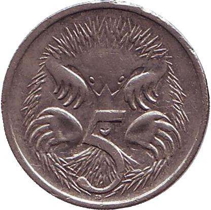 Монета 5 центов. 1989 год, Австралия. Ехидна.