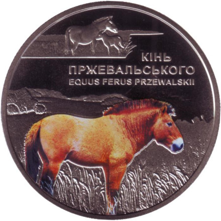 Монета 5 гривен. 2021 год, Украина. Лошадь Пржевальского. Чернобыльский радиационно-экологический биосферный заповедник.