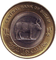 Монета 20 пиастров. 2006 год, Судан. Азиатский буйвол. Монета 20 пиастров. 2006 год, Судан. Азиатский буйвол.