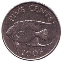Тропическая рыба (Ангел-королева). Монета 5 центов. 2008 год, Бермудские острова.