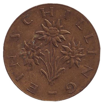 Монета 1 шиллинг. 1965 год, Австрия. Эдельвейс.