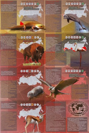 red-12345.jpg red-12345.jpg