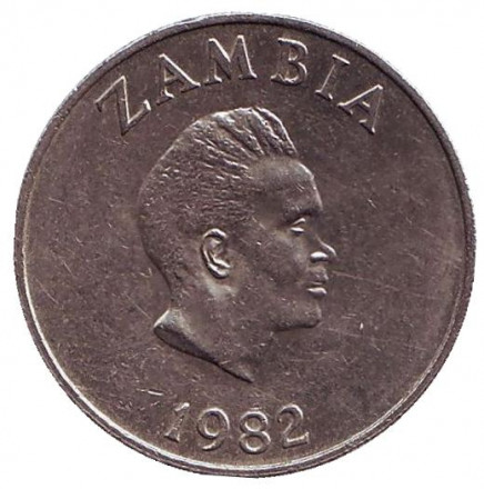 Монета 10 нгве. 1982 год, Замбия. Птица-носорог.