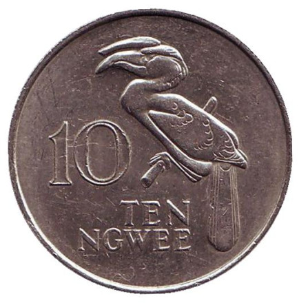 Монета 10 нгве. 1982 год, Замбия. Птица-носорог.