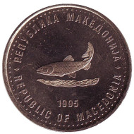 Монета 2 денара, 1995 год, Македония. (Тип 1). Форель. Монета 2 денара, 1995 год, Македония. (Тип 1). Форель.