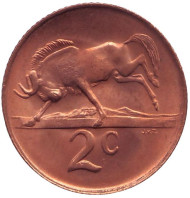 Монета 2 цента. 1968 год, Южная Африка. (Suid Afrika). UNC. Белохвостый гну. Окончание президентства Чарльза Сварта. Монета 2 цента. 1968 год, Южная Африка. (Suid Afrika). UNC. Белохвостый гну. Окончание президентства Чарльза Сварта.