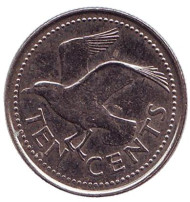 Монета 10 центов. 2001 год, Барбадос. Чайка. Монета 10 центов. 2001 год, Барбадос. Чайка.