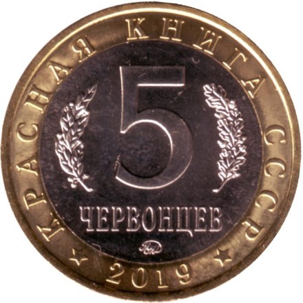 Русская быстрянка. Монетовидный жетон. 5 червонцев, 2019 год. ММД.