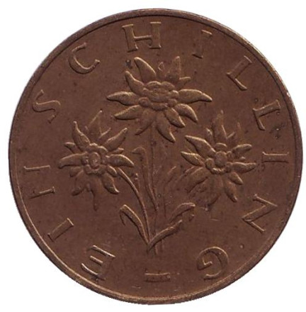 Монета 1 шиллинг. 1972 год, Австрия. Эдельвейс.