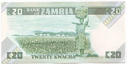 Банкнота 20 квача. 1980-1988 гг., Замбия. Орлан-крикун. P-27е. Банкнота 20 квача. 1980-1988 гг., Замбия. Орлан-крикун. P-27е.