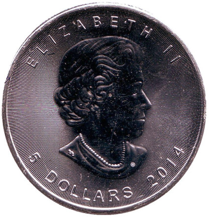 11113o.jpg 11113o.jpg