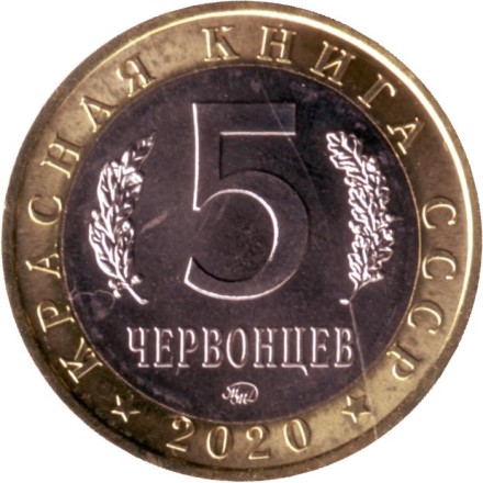 Шахин. Монетовидный жетон. 5 червонцев, 2020 год. ММД. Шахин. Монетовидный жетон. 5 червонцев, 2020 год. ММД.