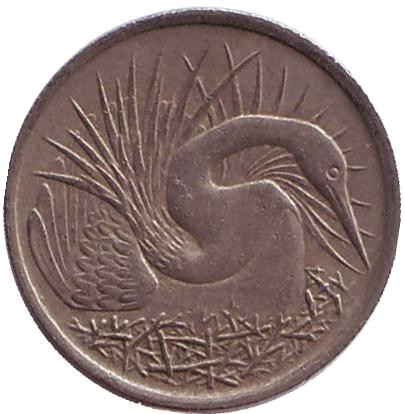 Монета 5 центов. 1967 год, Сингапур. Большая белая цапля.
