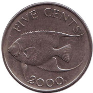 Монета 5 центов. 2000 год, Бермудские острова. Тропическая рыба (Ангел-королева). Монета 5 центов. 2000 год, Бермудские острова. Тропическая рыба (Ангел-королева).