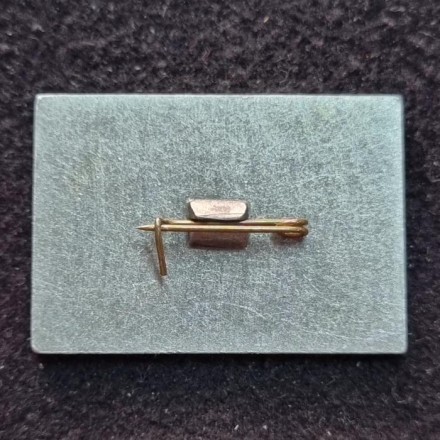 Лайнер "Татария". Серия "Северное морское пароходство". Значок. СССР. (Зеленый).