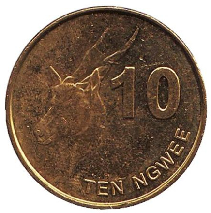 Монета 10 нгве. 2015 год, Замбия. Западная канна - африканская антилопа.