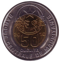 Монета 50 угий. 2010 год, Мавритания. Монета 50 угий. 2010 год, Мавритания.