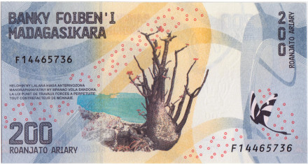 Банкнота 200 ариари. 2017 год, Мадагаскар. Мадагаскарская пальма.