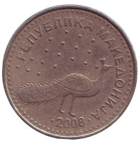Павлин. Монета 10 денаров. 2008 год, Македония. Из обращения.