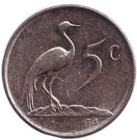 Африканская красавка. Монета 5 центов. 1971 год, Южная Африка.