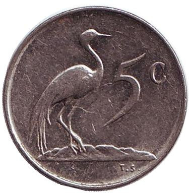 Монета 5 центов. 1971 год, Южная Африка. Африканская красавка.