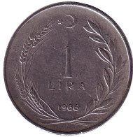 Монета 1 лира. 1966 год, Турция. Монета 1 лира. 1966 год, Турция.