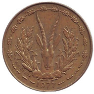 Монета 5 франков. 1977 год, Западные Африканские Штаты. Монета 5 франков. 1977 год, Западные Африканские Штаты.